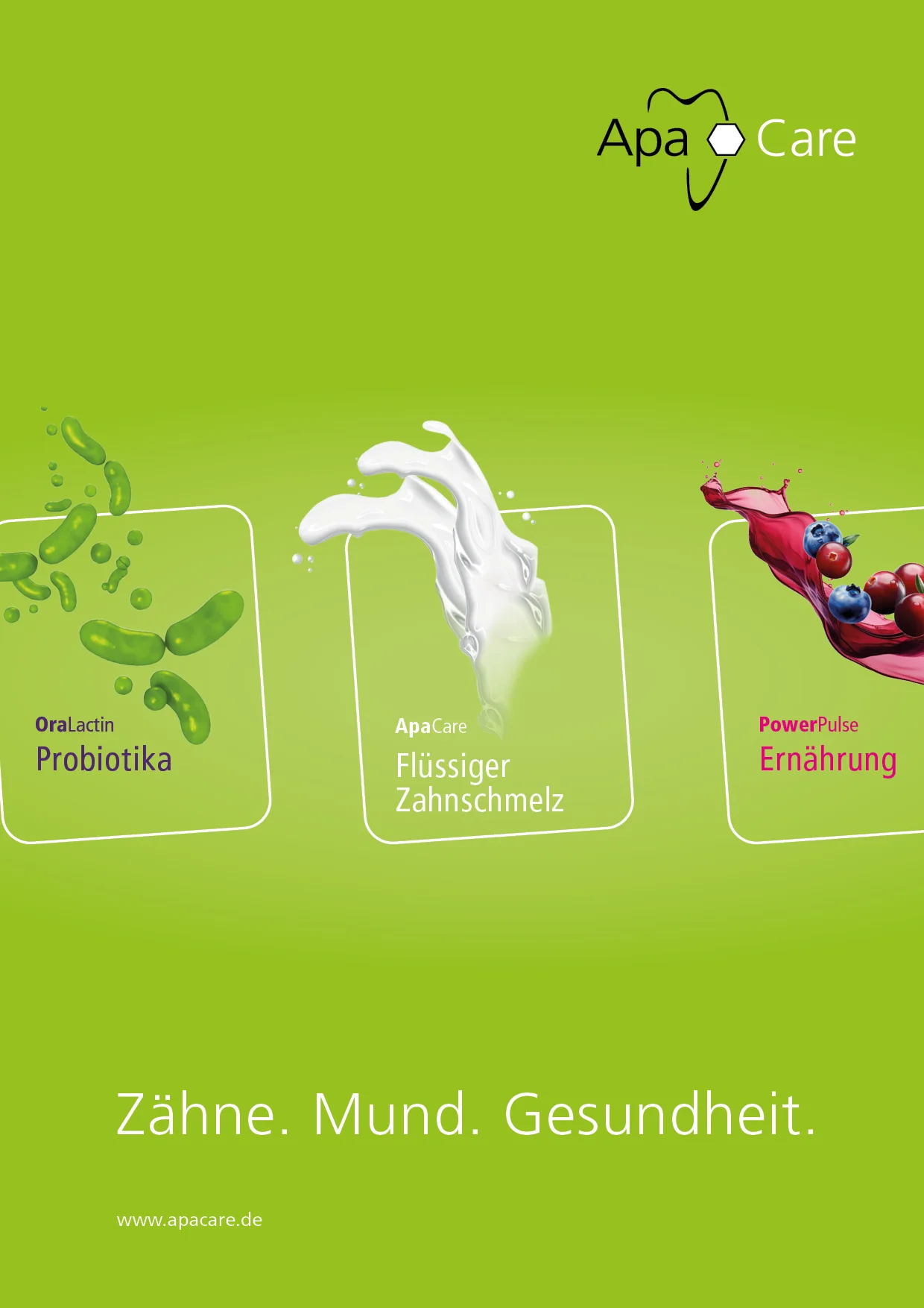 imagebroschüre in grün Imagebroschüre in grün